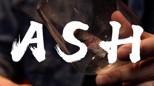 ASH (Gimmicks and Online instructions) by Pen & MS Magic - Wizard Magic Shop
