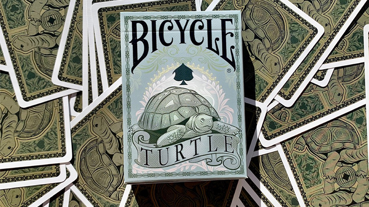 Jeu De Cartes Tortue De Vélo (Terre)