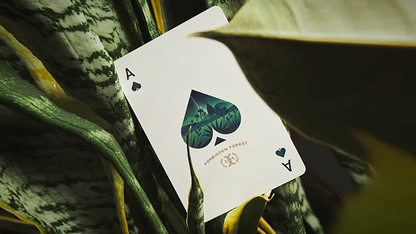 Forbidden Forest Playing Cards