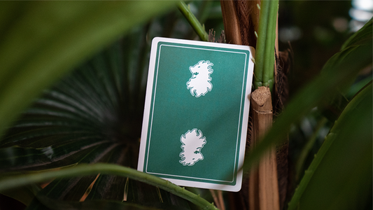 Leon V2 Playing Cards alternate view - Wizard Magic Shop