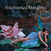 ENCHANTED INSIGHTS RED (English Instruction) by Magic Entertainment Solutions - Trick