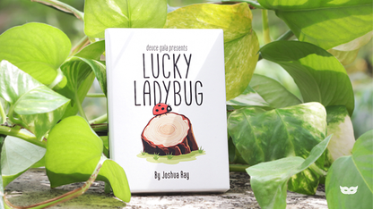 Lucky Ladybug (Log) by Joshua Ray & Deuce Gala Magic