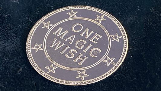Magic Wishing Coins Silver (12 Coins) by Alan Wong - Trick alternate view - Wizard Magic Shop