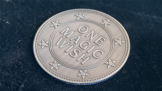 Magic Wishing Coins Antique Silver (12 Coins) by Alan Wong - Trick alternate view - Wizard Magic Shop