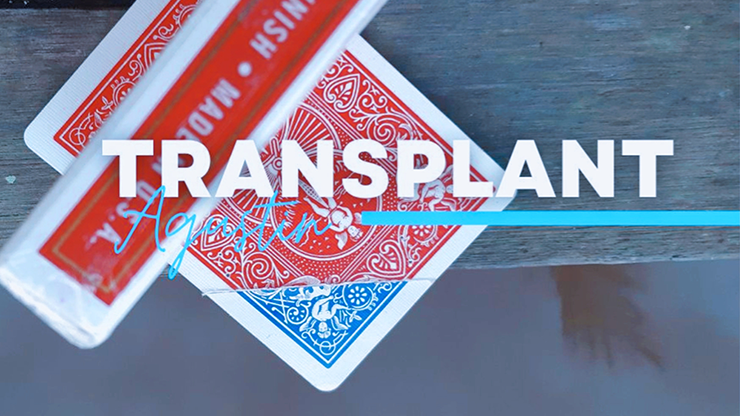 Transplant by Agustin video DOWNLOAD