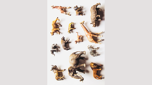 Noah's Ark Prop-less Animal Guess by Fraser Parker - Book - Wizard Magic Shop