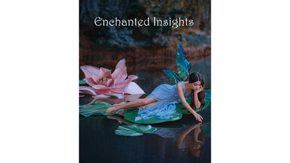 ENCHANTED INSIGHTS BLUE (Instruction en allemand) par Magic Entertainment Solutions - Astuce 