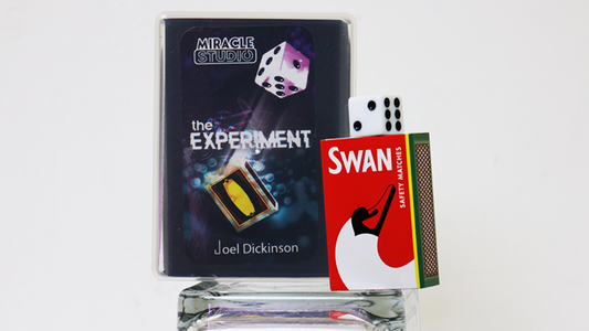 THE EXPERIMENT by Joel Dickinson alternate view - Wizard Magic Shop