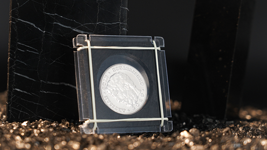 Coin Shackles by TCC alternate view - Wizard Magic Shop