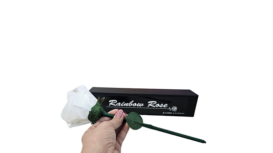 Rainbow Rose by JL Magic alternate view - Wizard Magic Shop