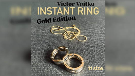 Instant Ring (silver/gold, Size 11) by Viktor Voitko - Wizard Magic Shop