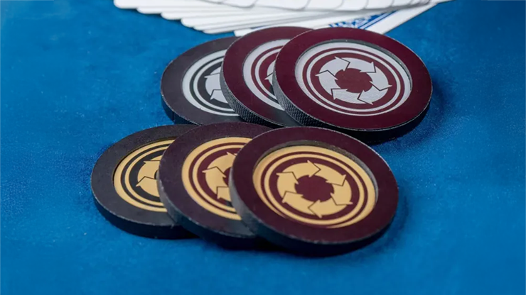 The Winner's Chip by Kaifu Wang