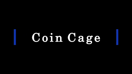 Coin Cage (Silver) by Paul Carnazzo - Wizard Magic Shop