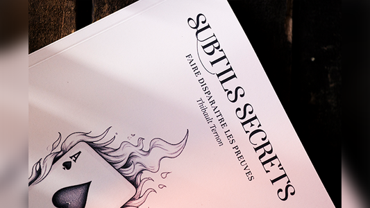 Subtle Secrets 1 by Thibault Ternon alternate view - Wizard Magic Shop