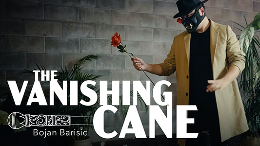 Vanishing Cane (Stage) by Bojan Barisic and Stage Elegance - Wizard Magic Shop