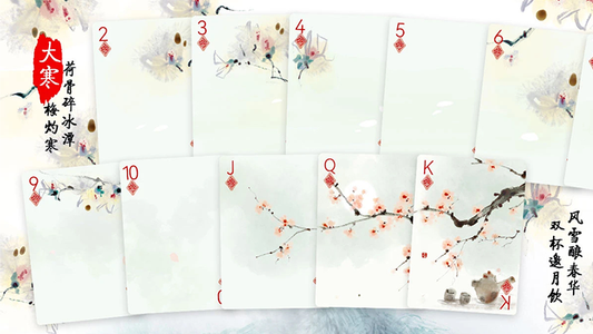 Bicycle Seasons (Winter Edition) Playing Cards alternate view - Wizard Magic Shop