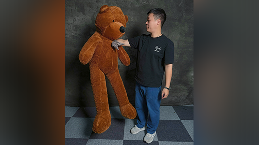 Teddy Bear Appearance (Medium) by MS Magic - Wizard Magic Shop