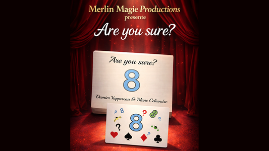 Are You Sure? by Damien Vappereau and Marc Céliandre - Wizard Magic Shop