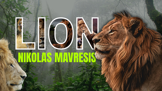 Lion by Nikolas Mavresis video DOWNLOAD - Wizard Magic Shop