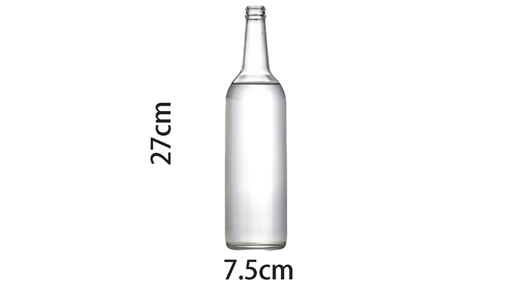 Self Exploding Transparent Beer Bottle (Large) by Wance