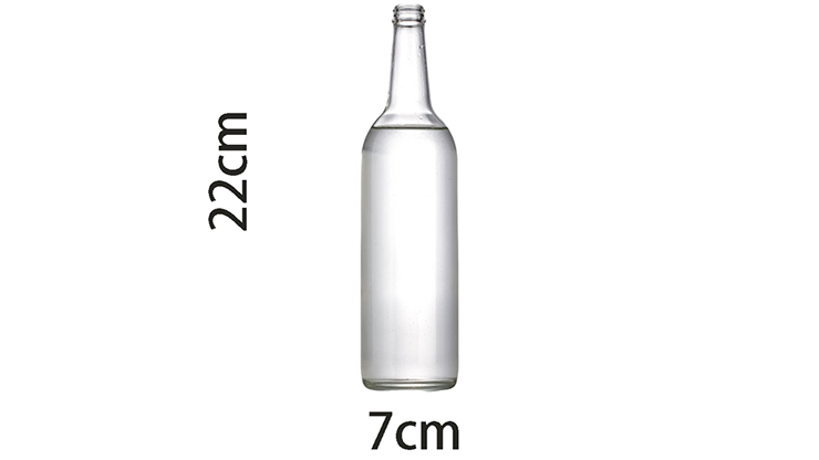 Self Exploding Transparent Beer Bottle (Small) by Wance