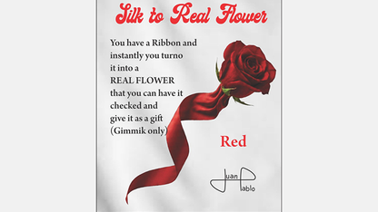 Silk to Real Flower (Red) by Juan Pablo Default Title
