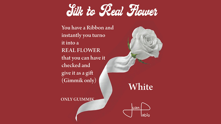Silk to Real Flower (White) by Juan Pablo Default Title