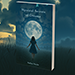 Echo Book Test by Vincent Hedan (Dreams) alternate view - Wizard Magic Shop