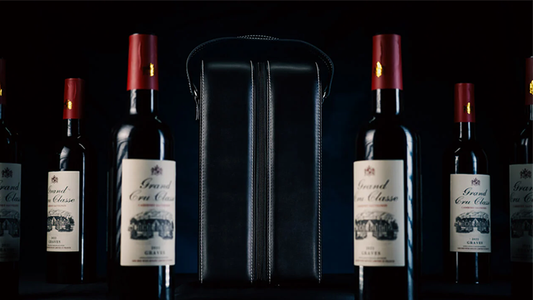 Miracle Wine Bottles Carrying Bag by TCC - Wizard Magic Shop