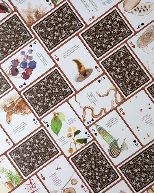 Eastern Forest Playing Cards - Wizard Magic Shop