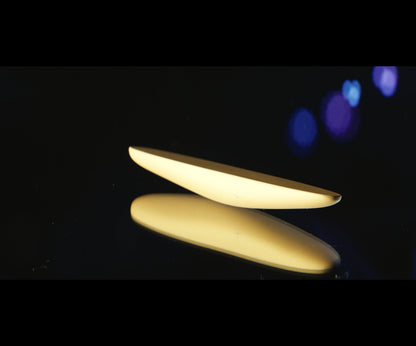 The Gold Rattleback