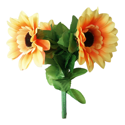 Amazing Split Sunflower by Premium Magic alternate view - Wizard Magic Shop