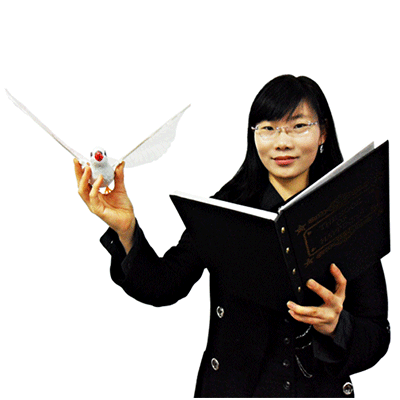 Dove & Rabbit Book by JL Magic - Wizard Magic Shop
