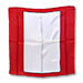 Silk 18 inch Blank Card from Magic by Gosh - Trick