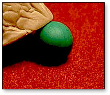 Perfect Peas (Green) by Whit Hayden and Chef Anton's School for Scoundrels - Wizard Magic Shop