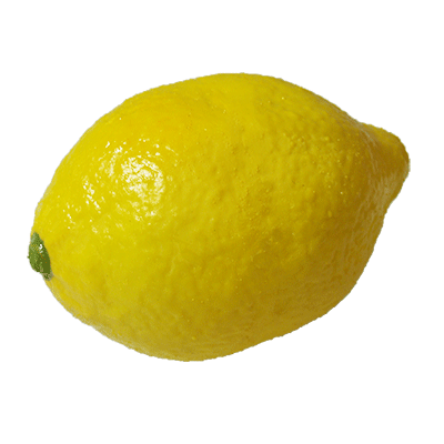 Super Real Latex Lemon by Tejinaya Magic - Wizard Magic Shop